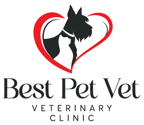 bestpet.vet